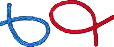 zs01